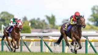 阪神優勝は三冠馬誕生の前兆？ 18年前にはディープインパクトが達成