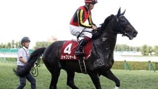 シャフリヤールが騎乗運動を再開 秋プランは米遠征含めてこれから検討