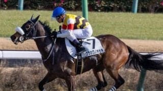 中山ダ1200mはストームキャット系！ ウラカワノキセキが今度こそ