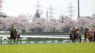 【オールカマー想定馬・騎手】タイトルホルダーやジェラルディーナなど14頭