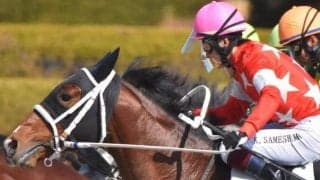 【松戸特別予想】距離延長は大きなプラス レッドプロフェシーの巻き返しだ