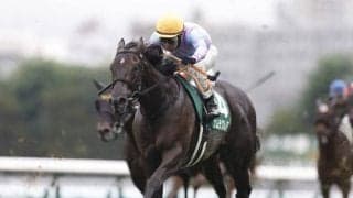 【スプリンターズS想定馬・騎手】ナムラクレアやママコチャなど22頭