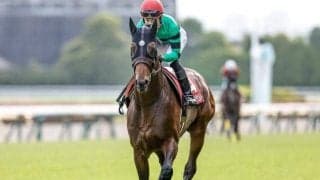 【神戸新聞杯想定馬・騎手】ハーツコンチェルトやファントムシーフなど13頭