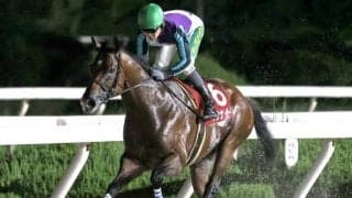 【園田・園田チャレンジC結果】イグナイターが逃げ切って重賞6勝目を挙げる