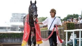 【今日の注目ポイント】3日間開催初日 障害重賞の阪神JS