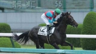 【阪神JS予想】3140mの距離に12の障害 安定した飛越とスタミナが求められるコース