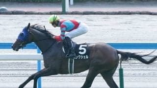ローズＳは「特注血統」から２頭をピックアップ 直近２レースを圧勝の３歳牝馬、牝系が優秀な３歳牡馬に期待