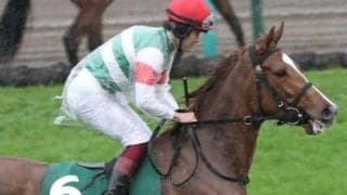 【土曜阪神4R予想】大器パルクリチュード 負けられない復帰戦だ