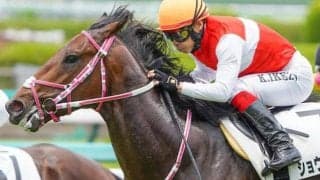 前走はハイレベル戦3着 土曜阪神3Rはレイデオロ産駒の大器が必勝態勢