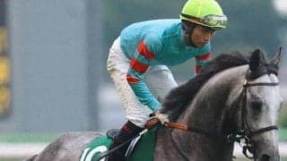 阪神得意の末脚自慢 土曜メインのケフェウスSでズバッと突き抜ける