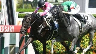 【阪神5R新馬戦結果】レイデオロ産駒のデルシエロが接戦制しデビューV！