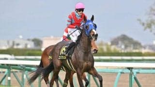 【ローズS予想】豊富なキャリアは紙一重!? 大穴期待も走り過ぎには注意が必要