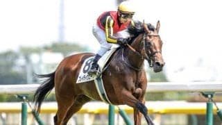 【ローズS前日オッズ】ブレイディヴェーグが2.4倍で1番人気