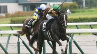 阪神芝はエピファネイア産駒が好調 ブライトジュエリーで好配狙いだ