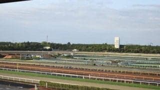 美浦トレセンで新坂路コースがオープン 高低差は33mで従来から+15m