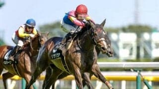 【AI予想・ローズS】的確な能力比較が的中の鍵！ 週初から一転した本命は能力十分の伏兵馬