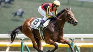 【今日の注目ポイント】阪神で秋華賞TRのローズS、ラジオ日本賞でハピ復帰など