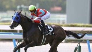 ＧＩ秋華賞トライアルのローズＳは人気薄の条件馬に要注意　穴党記者が抜擢する「シンデレラ候補」２頭