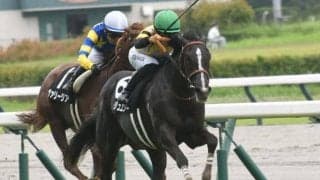 【ローズS予想】4年ぶりの阪神開催 “瞬発力”が勝負を分けるレース 