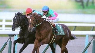 セントライト記念は本当にソールオリエンスでテッパンか？　舞台設定を味方にする伏兵２頭の大駆けも!?