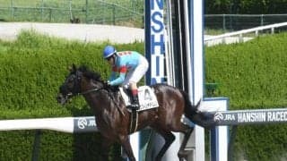 【阪神4R新馬戦結果】エピファネイア産駒のエストレヤデベレンが圧勝！