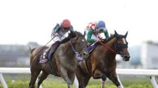 【浦和・オーバルスプリント枠順】さきたま杯2着スマイルウィは3枠3番、JpnI馬ドライスタウトは4枠4番