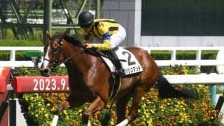 【阪神5R新馬戦結果】サトノダイヤモンド産駒のザパリスマッチが逃げ切りV！