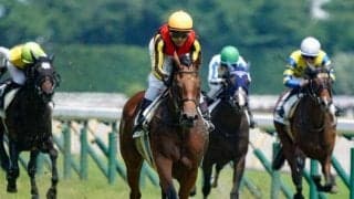 【ローズS・馬体重】ブレイディヴェーグは460kg(-6)、ソーダズリングは474kg(+4)