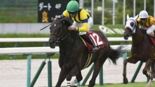 【ローズS結果】マスクトディーヴァが強烈末脚で快勝 JRAレコードを0.8秒更新