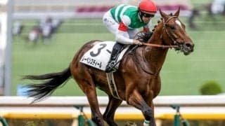 【セントライト記念予想】社台系の生産馬が強さ見せる一戦！ それ以外は重賞やオープンでの実績が必要不可欠