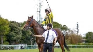 【セントライト記念前日オッズ】ソールオリエンスが1.6倍で1番人気