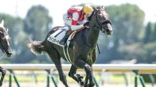 セントライト記念は隠れた実力馬を狙う ソールオリエンスに肉薄しても不思議なし