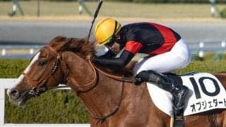 前走は参考外 JRAアニバーサリーSは阪神巧者の巻き返しに期待