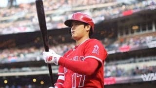 【MLB】大谷翔平、駆け抜けた7か月　「憧れ」をやめて掴んだ頂点…飛躍続けた二刀流の“軌跡”