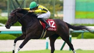 【ローズS】マスクトディーヴァがレコードV…秋華賞への優先出走権獲得
