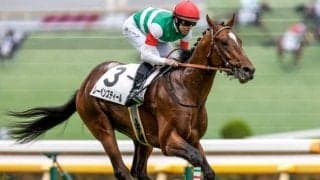 【セントライト記念予想】皐月賞馬に一矢報いることはできるか 菊花賞への切符をかけた戦い