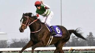 名牝リスグラシューの初子、シュヴェルトリリエのデビュー間近「いいフットワーク」と陣営も確かな手応え