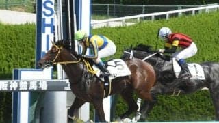 【阪神4R新馬戦結果】ホッコータルマエ産駒のストームバンガードが差し切りV！