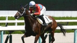 【阪神5R新馬戦結果】ニューイヤーズデイ産駒のベネメレンティが逃げ切りV！