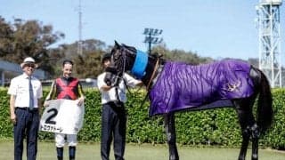 【中山6R新馬戦結果】レイデオロ産駒のトロヴァトーレが差し切りV！