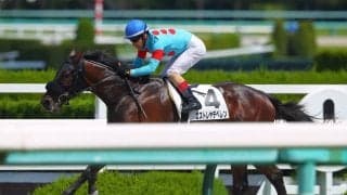 【新馬/阪神4R】エストレヤデベレンが7馬身差圧勝