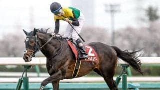 【オールカマー】タイトルホルダー、ジェラルディーナらが登録