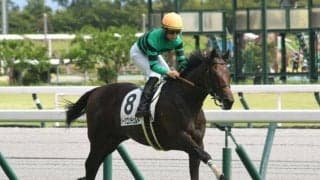 【神戸新聞杯】ハーツコンチェルト、ファントムシーフらが登録