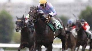 【スプリンターズS】ナムラクレア、メイケイエールらが登録