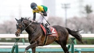 オールカマーでタイトルホルダーが再起を期す 菊花賞TRの神戸新聞杯/今週の競馬界の見どころ