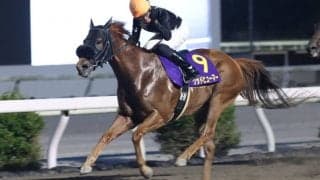【高知・珊瑚冠賞】グッドヒューマーが重賞初制覇…宮川「イメージ通りのレース出来た」