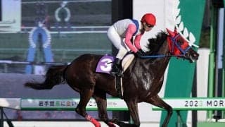 【盛岡・はまぎく賞】ダットが10馬身差圧勝…高橋悠「芝適性も凄く高い」