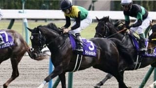 【オールカマー登録馬】タイトルホルダーなど15頭