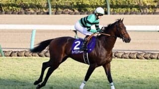 【神戸新聞杯登録馬】ハーツコンチェルトなど13頭