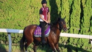 リバティアイランドなど、先週の入厩情報/栗東トレセンニュース